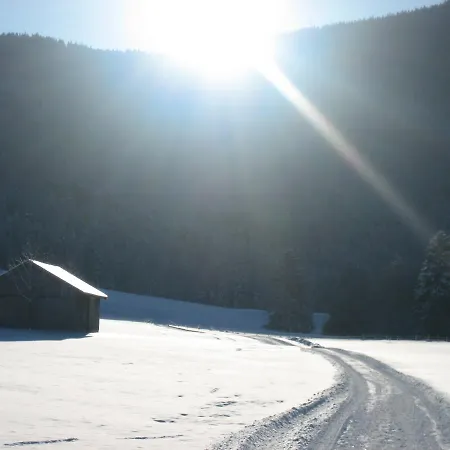 招待所 Gaestehaus Proisl 伦格里斯